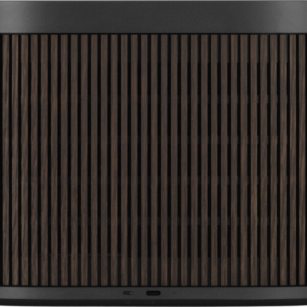 Beosound A5